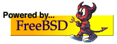 FreeBSD install guide